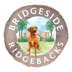 BurningLeaf_Customers - Customer_Bridgeside