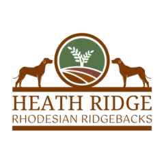 BurningLeaf_Customers - Customer_HeathRidge